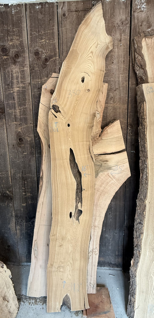 Live Edge Catalpa