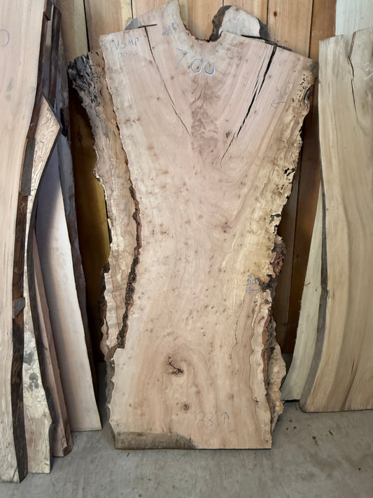 Live Edge Very Special Maple 40x83x2.75